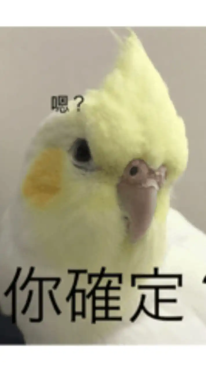 j108功課討論群