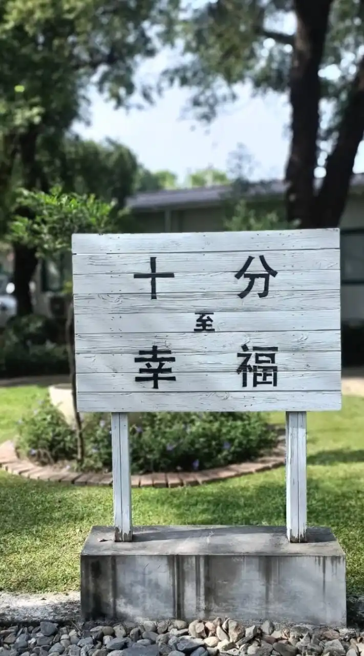 40+50+一攬芳華