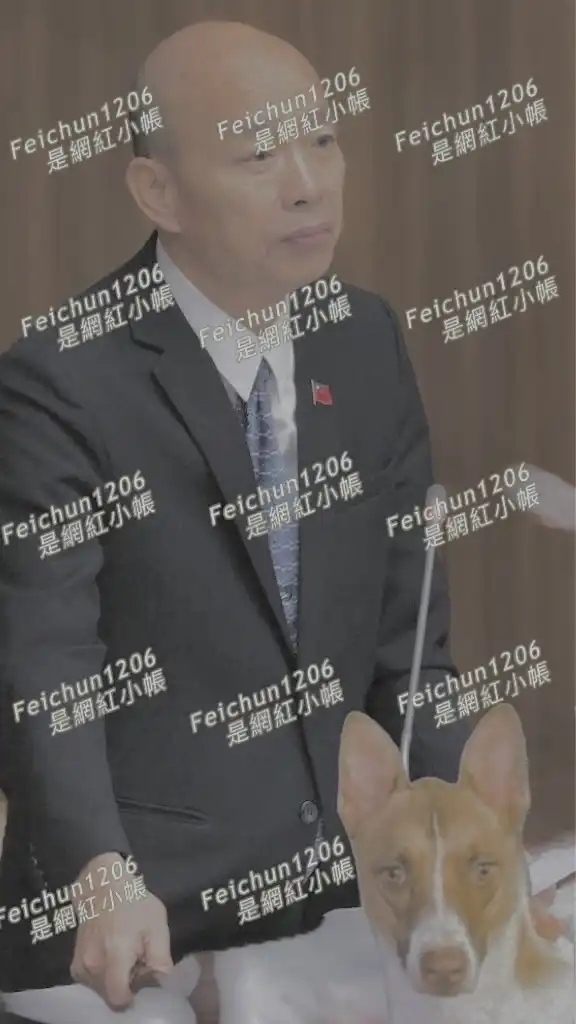 #一起回答#feichun1206是網紅小帳