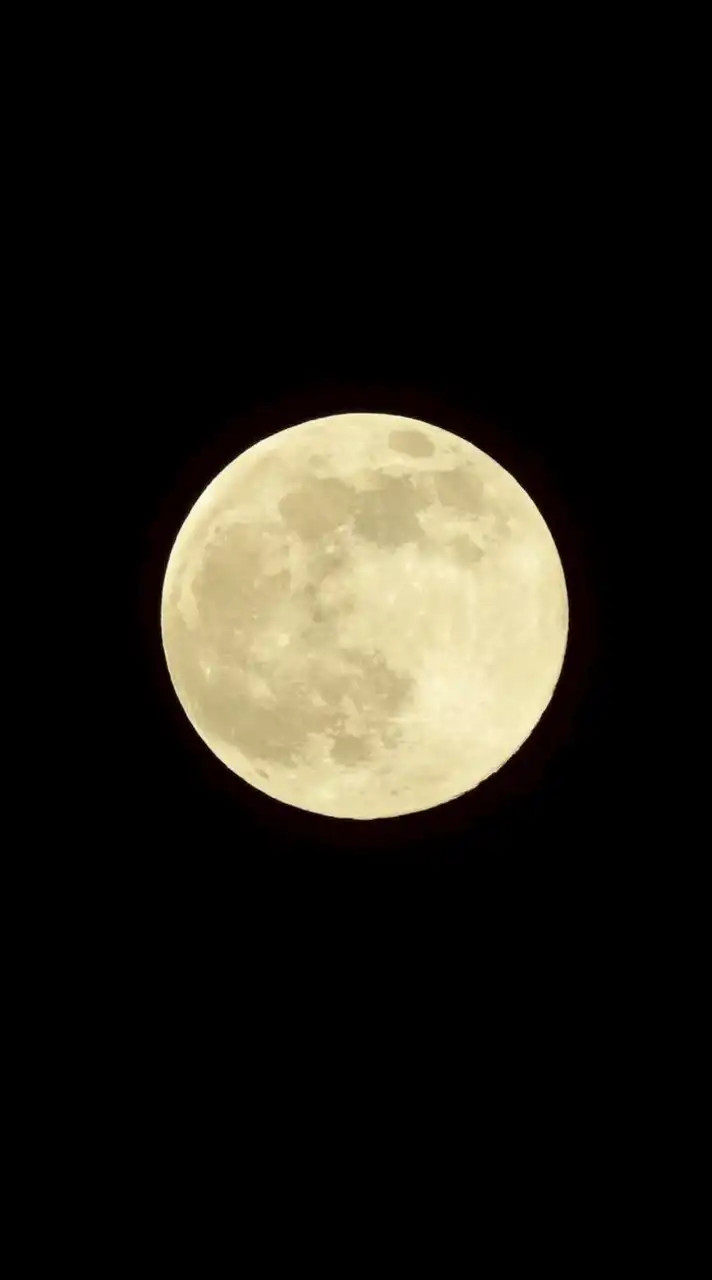 國文交流共學群