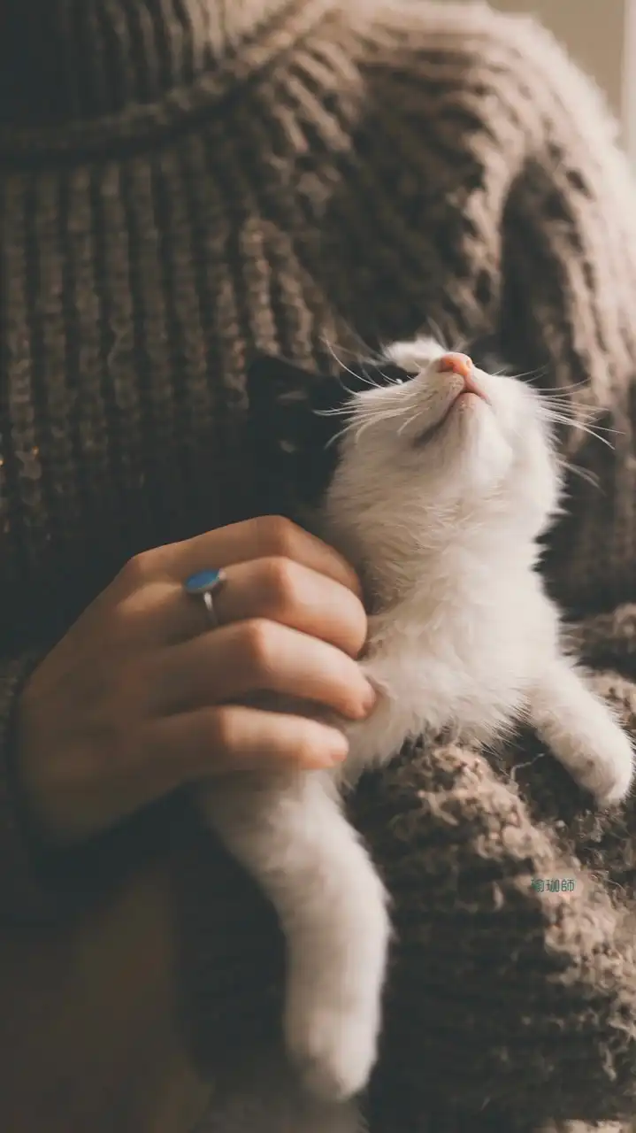 好狗運嘉民店🐾