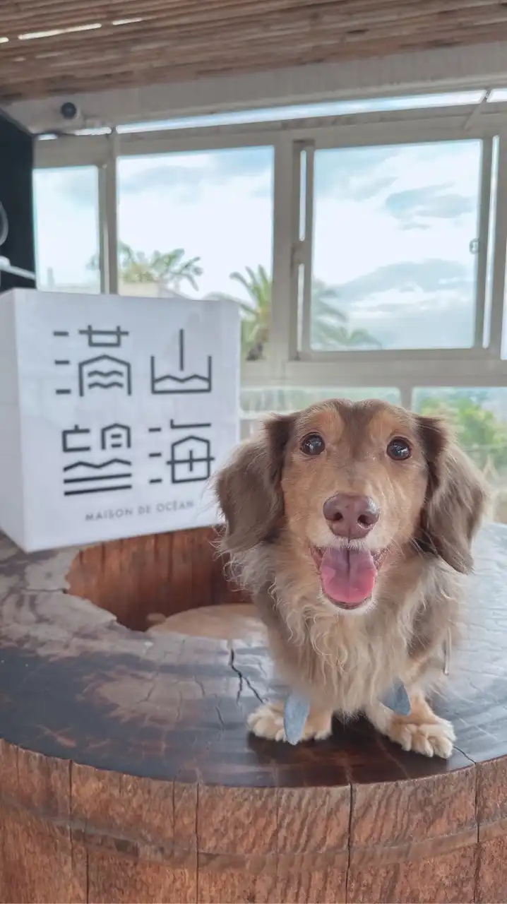 小胖短🐶AAPE BAPE 潮流🇭🇰🇰🇷🇯🇵國外代購