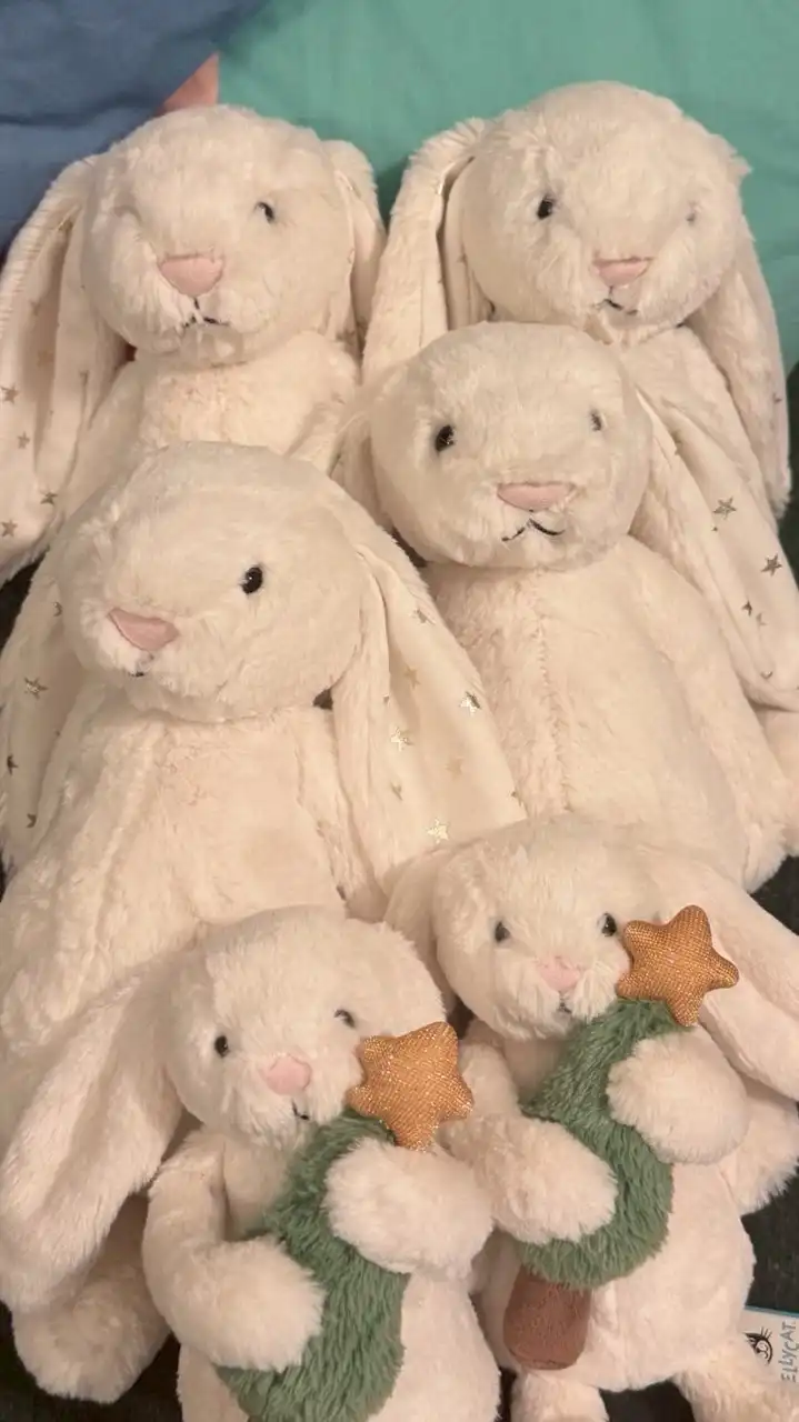 Jellycat兔兔抱回家🐰💖