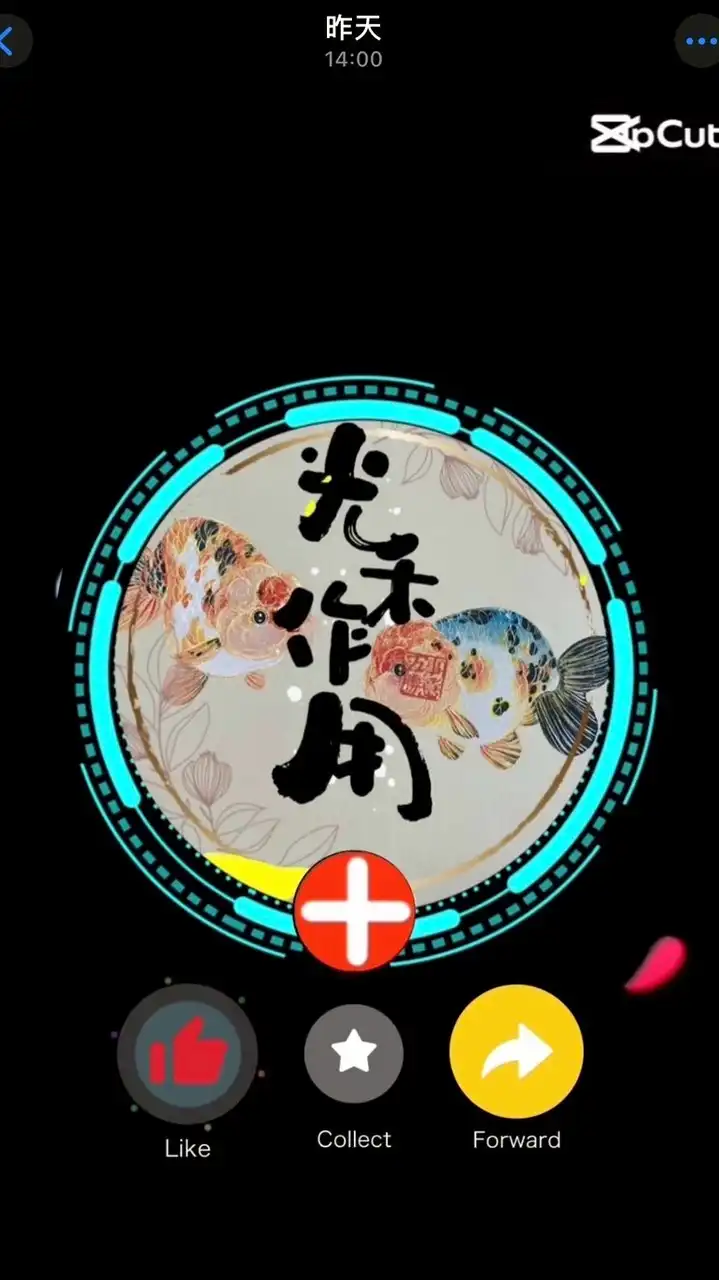 光禾作用|精品金魚