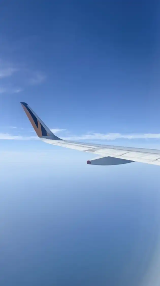 Fairytail.tw的日本好物代購🇯🇵☁️