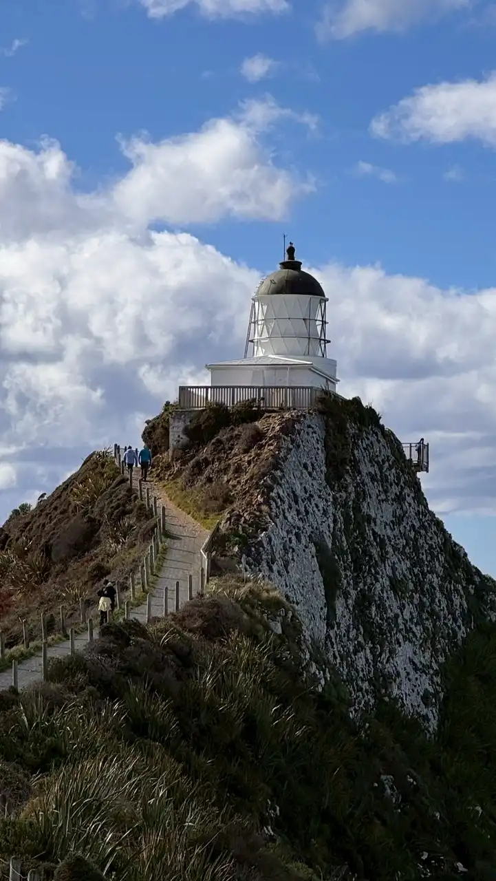 紐西蘭活動資訊/代訂/併團群組