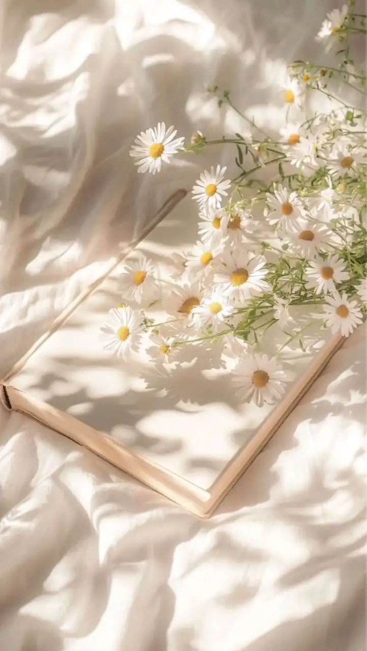 荳荳花｜正韓日本選品｜🐯🐰🐲🐍