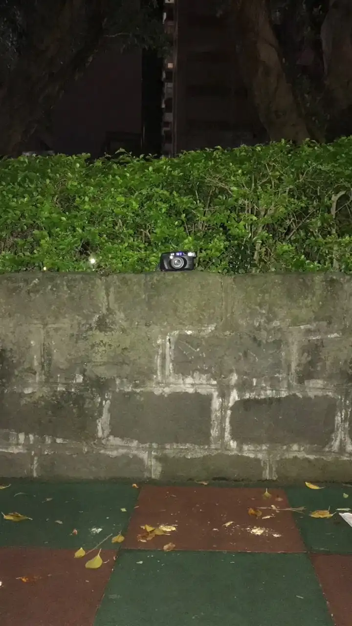 每日主題攝影📷