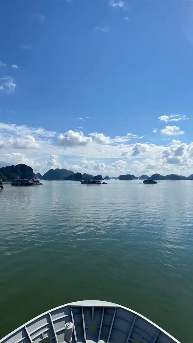中部姐妹會⭐️25Y ⬆️les Only