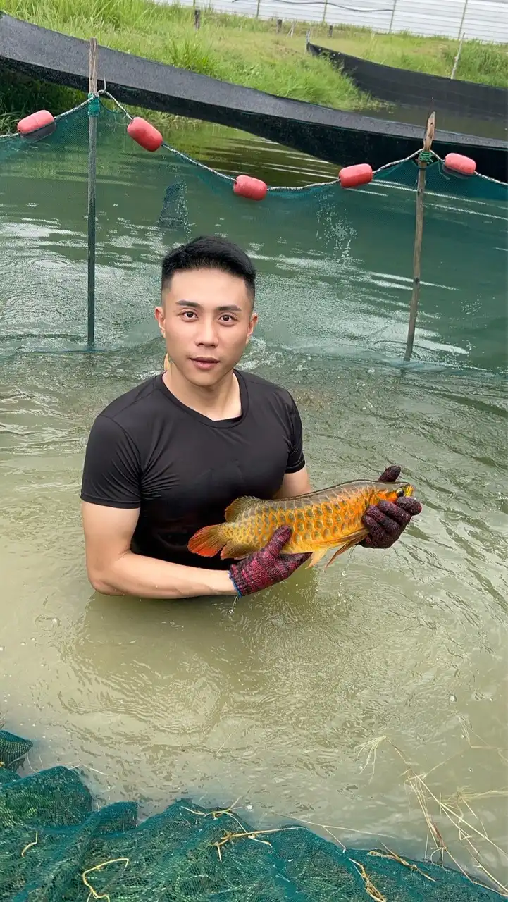 溪水金魚「直購/競標」專用社群