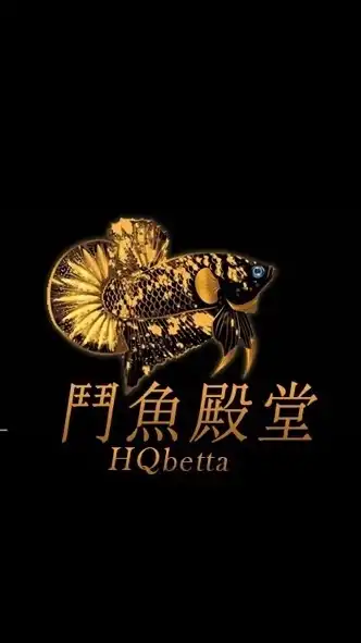 鬥魚殿堂(現貨)上架競標區