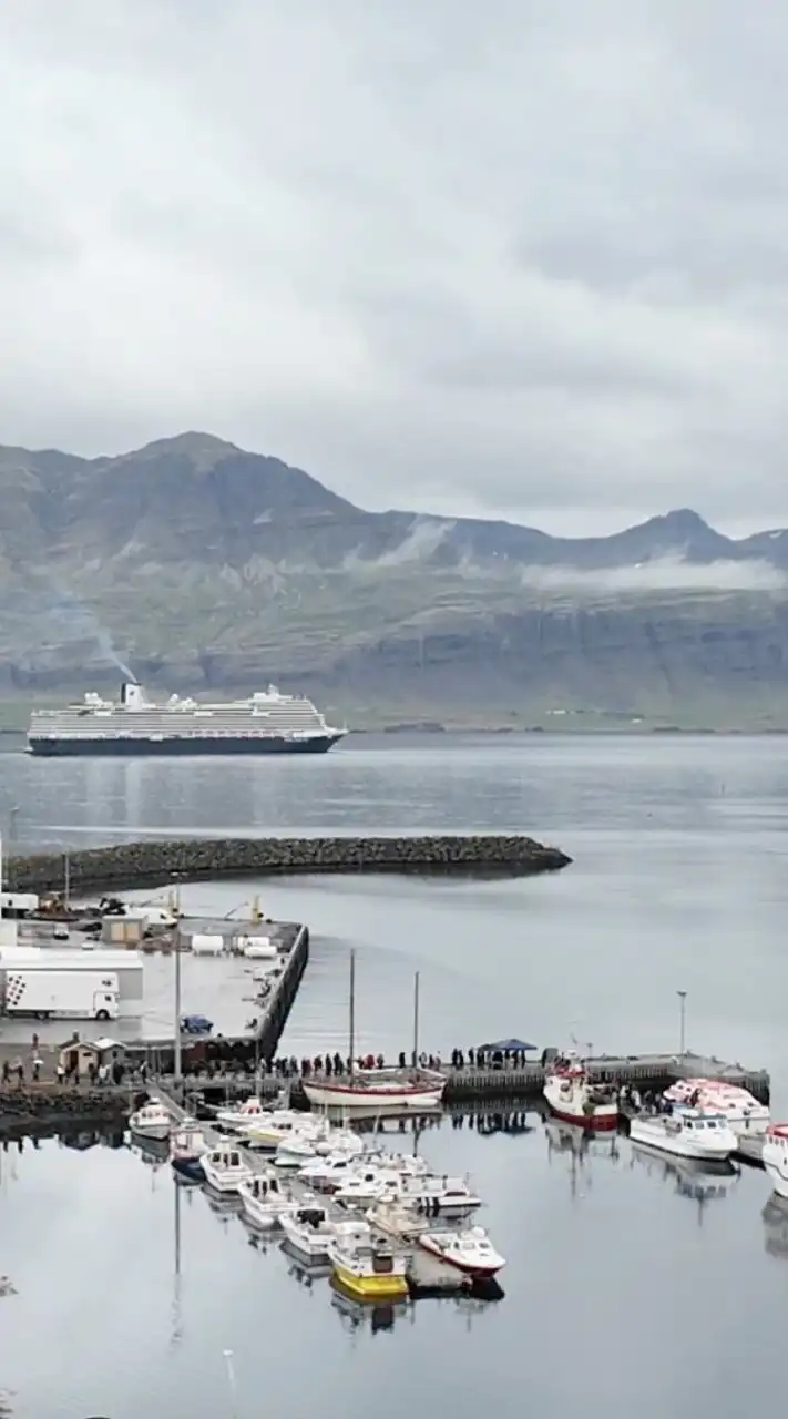 第二群~蜜拉士愷的郵輪情報社