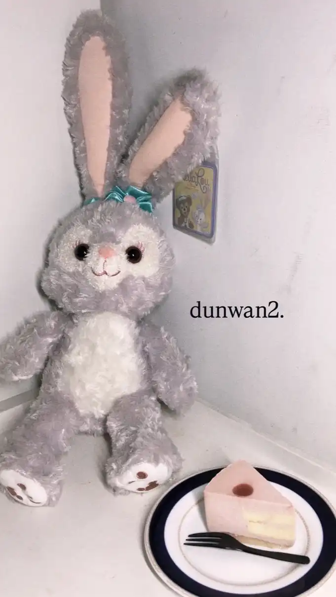 dunwan2.日韓連線🪽✨