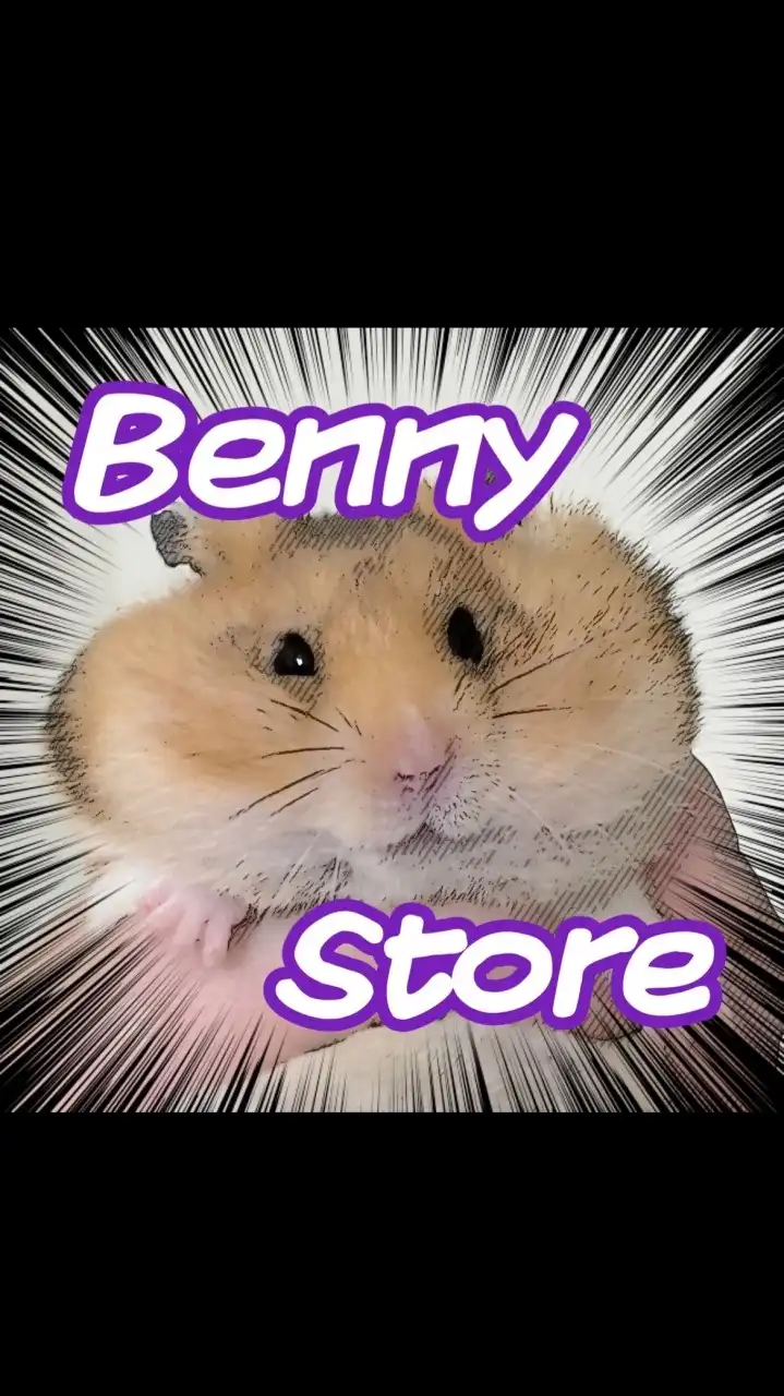 班尼小棧🐹 玩具專賣🇯🇵