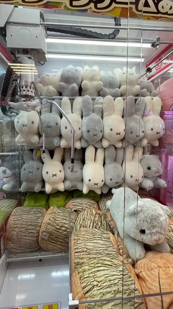 Yuki桑の不專業日本代抽一番賞/中古店shopping group