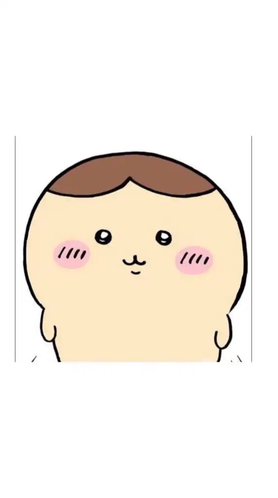 白貓貓商店