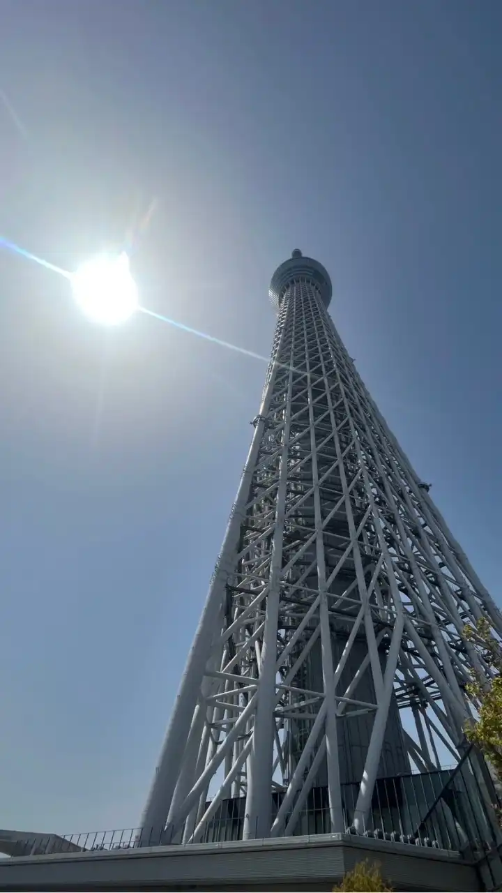 老蘇的動漫周邊代購群
