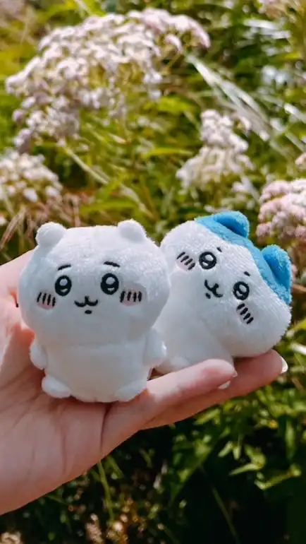 跟企鵝一起買買🐧日本連線代購🇯🇵吉伊卡哇/扭蛋玩具/文具小物