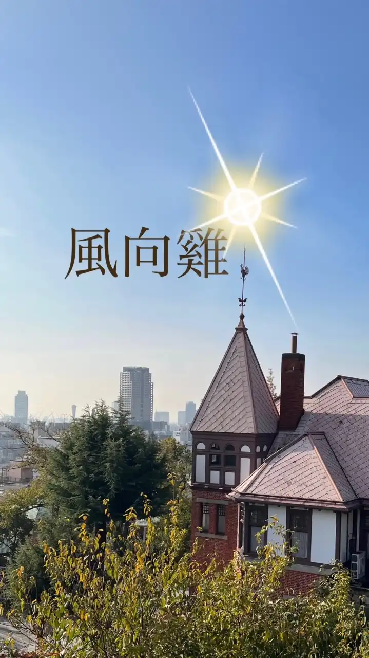 🐓風向雞