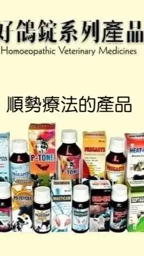 台灣好鴿俱樂部Taiwan Good Pigeon Club