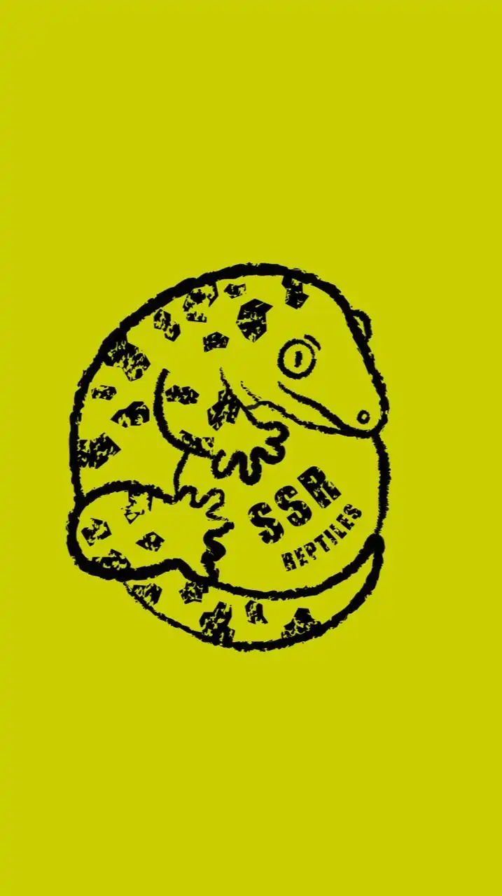 秘境之鱗  SSR