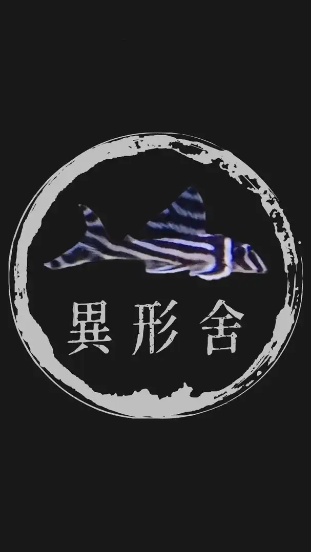 異形舍-討論交流