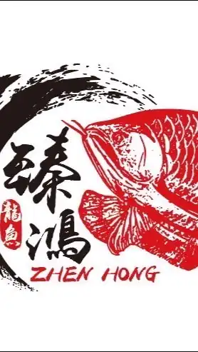 臻鴻精品龍魚專賣/觀賞魚買賣/競標/交流群