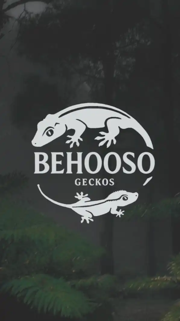 Behooso 壁護所