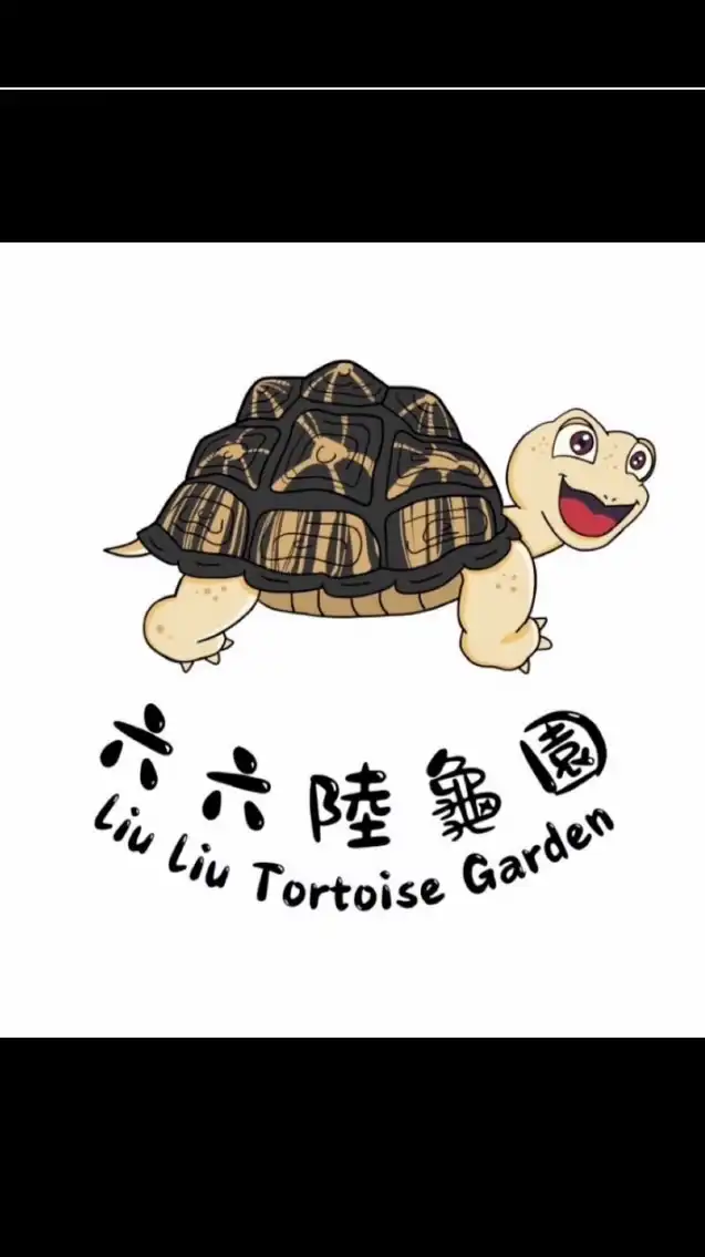 《六六陸龜園》各品種水龜、陸龜交流平台