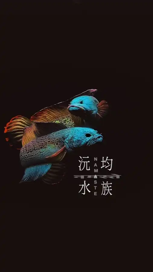 沅均水族