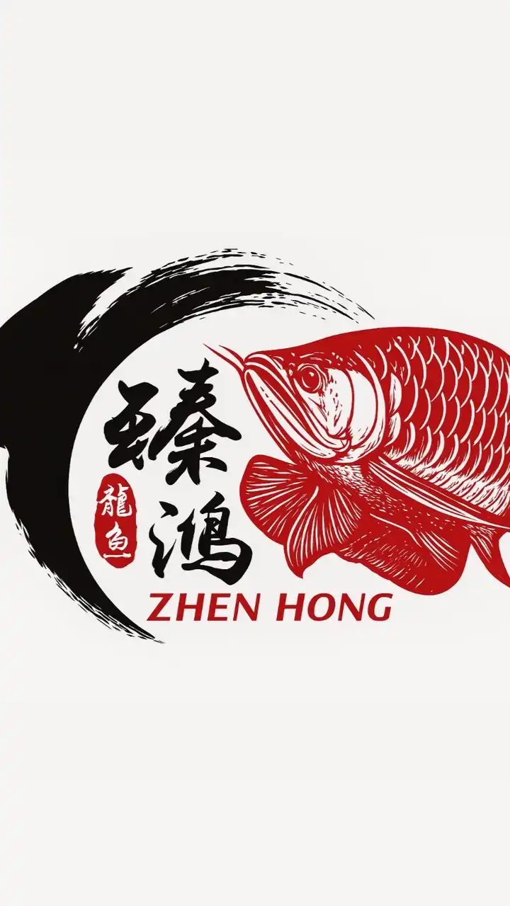 臻鴻精品龍魚、虎、魟專賣