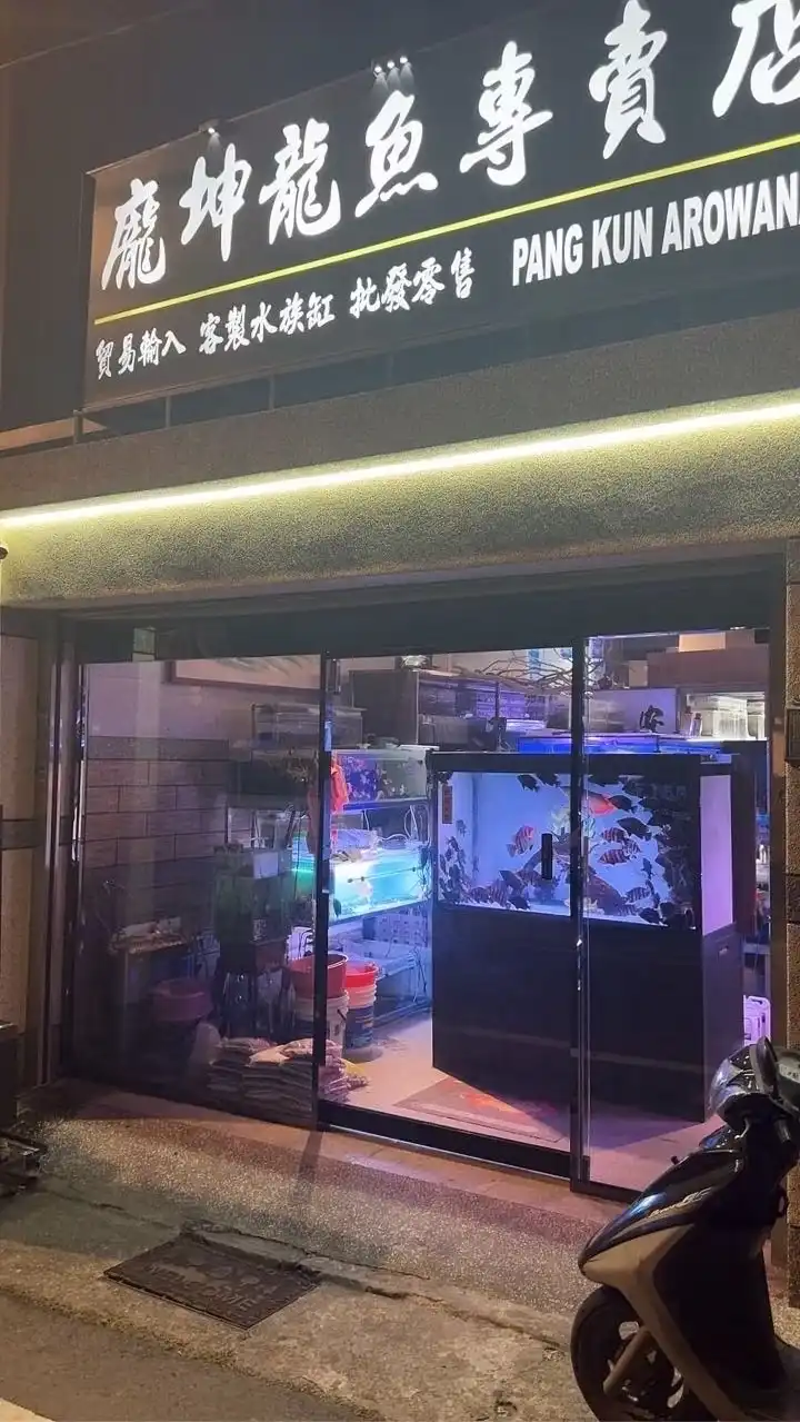 龐坤水族 - 龍魚/虎魚專賣［桃園水族大型魚交流群］