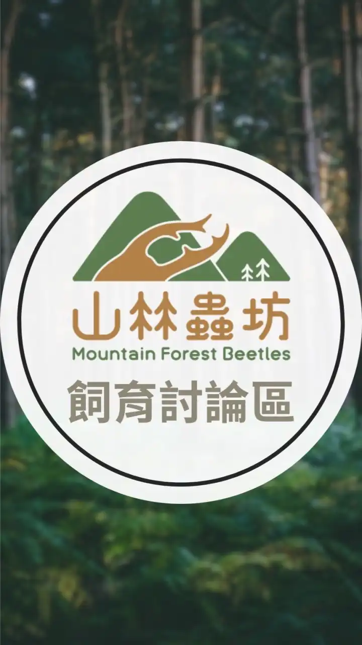 【山林蟲坊】 MFbeetles 飼育討論區