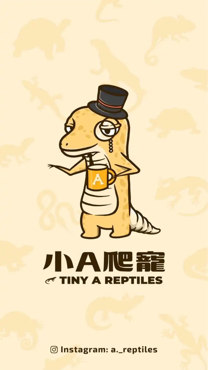 🦎小A爬蟲🦎