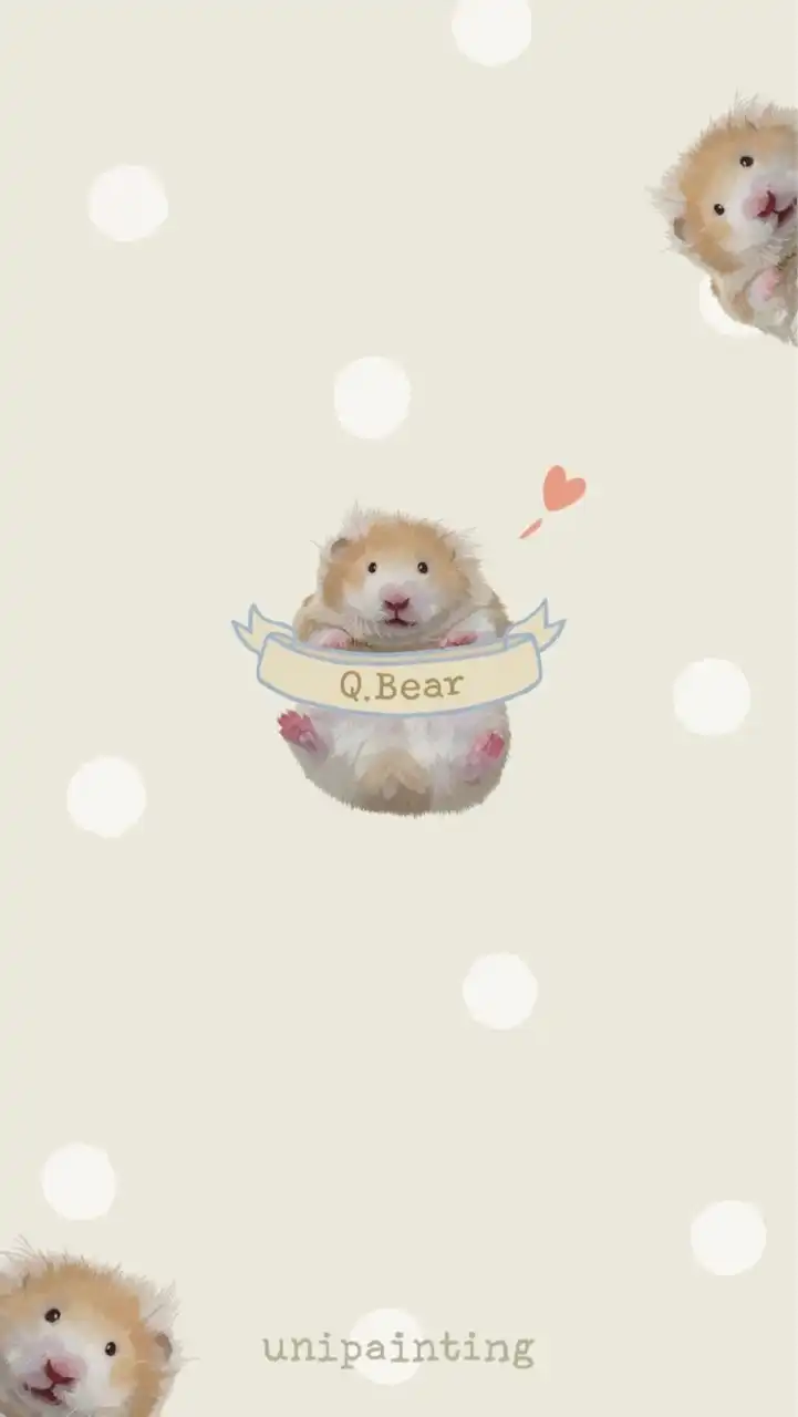 Q.Bear｜臺灣金絲熊舍｜