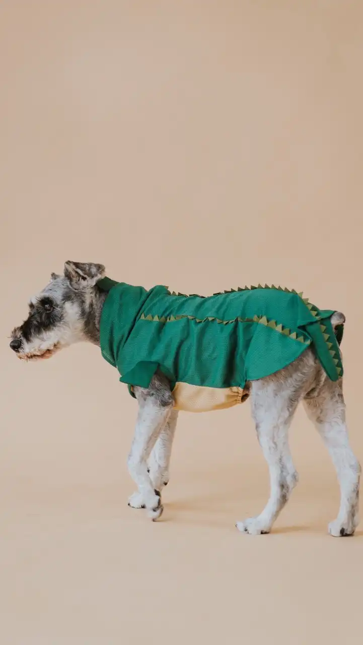 嘟嘟媽の雪寶選物🐶