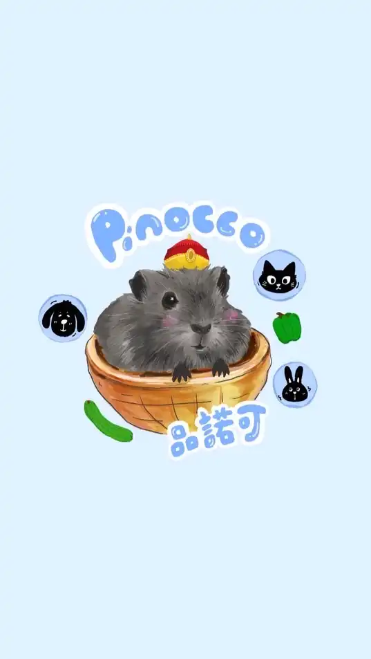 品諾可寵物生活館