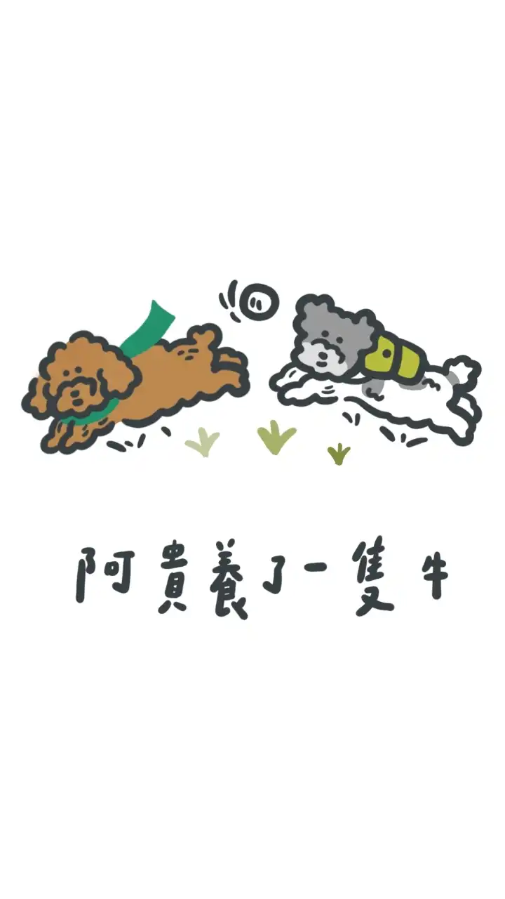 阿貴養了一隻牛寵物選品鋪