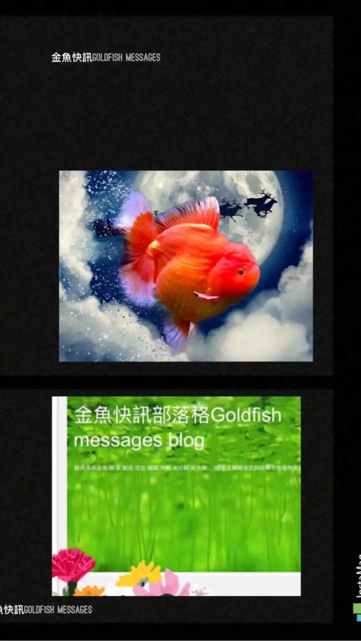 金魚快訊Goldfish Messages