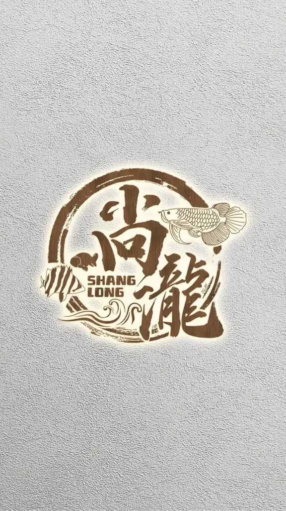 尚瀧精品水族《AHOP AROWANA》高品質龍魚專賣