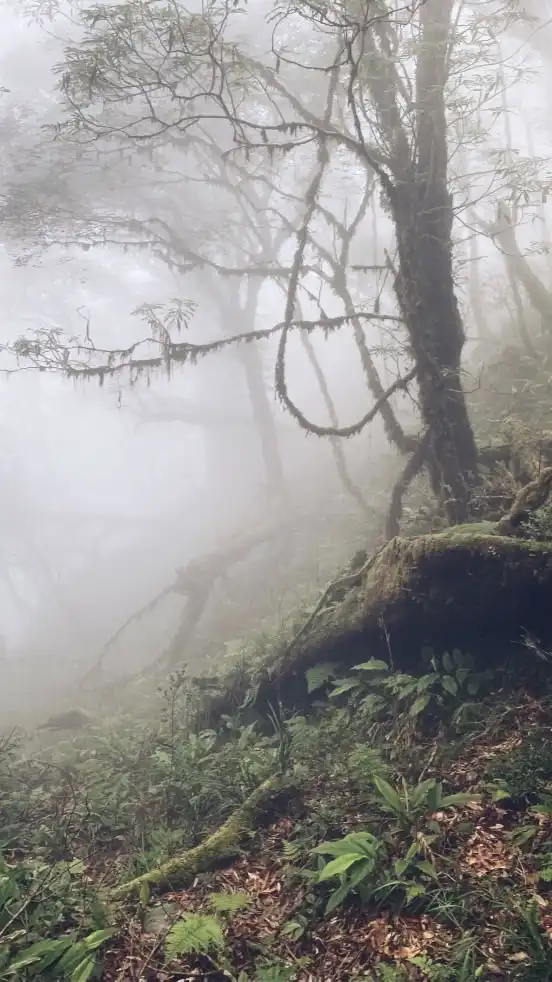 Hiking!登山健行走走走🤟🏽