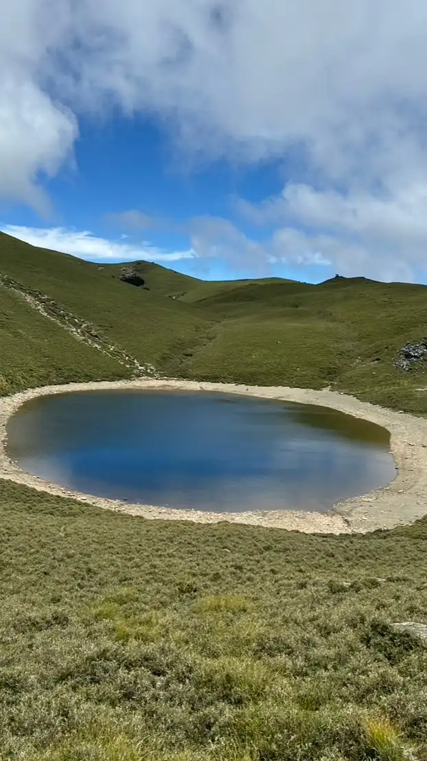 圓夢山林