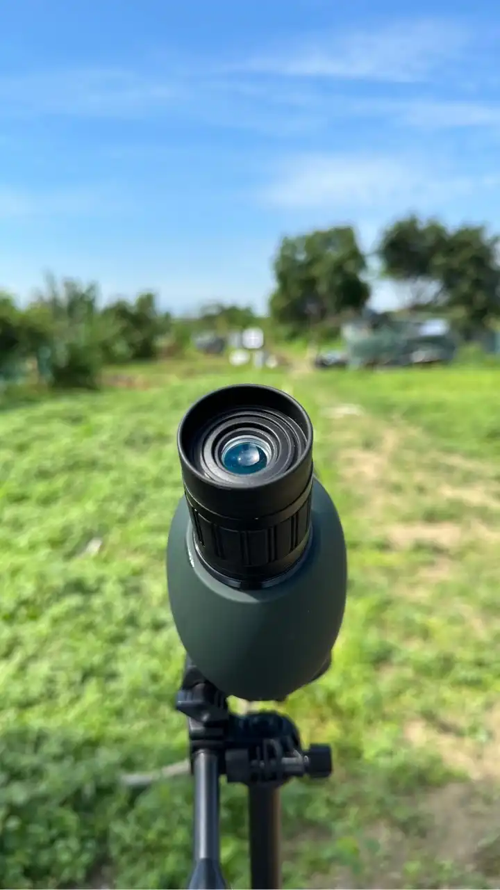 秘境射箭