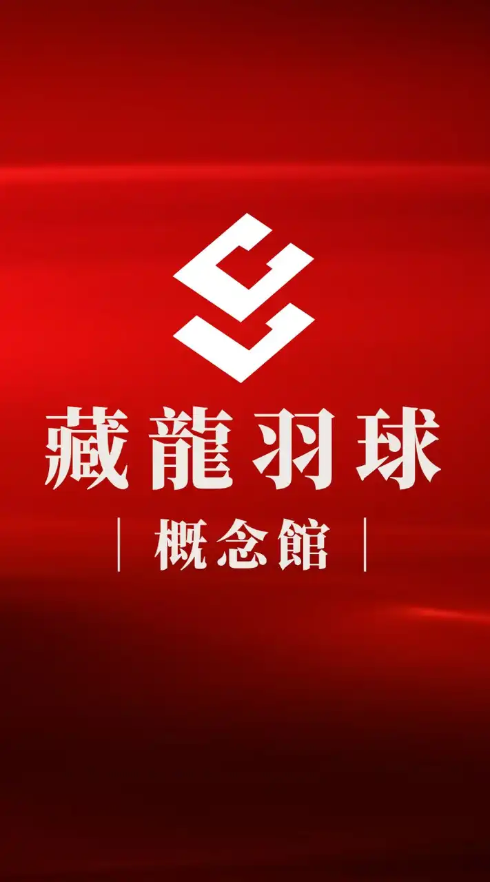 藏龍羽球概念館
