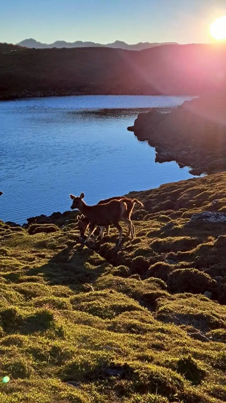 百岳⛰️登山戶外野營美景分享