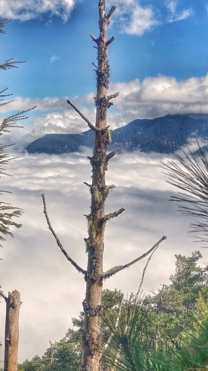 ☀️山上優雅☀️⛰️平安⛰️