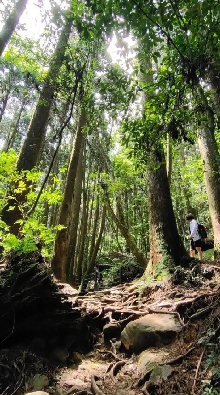 40＋ 台中登山趣