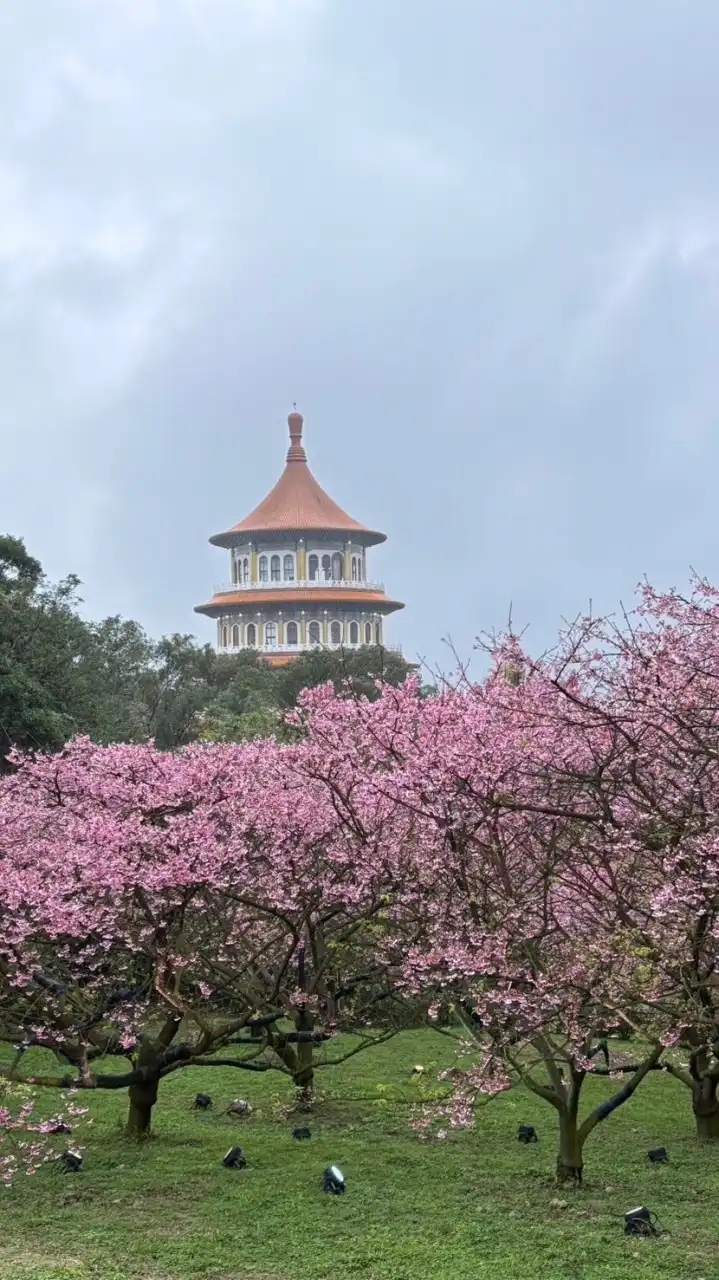 新靠北 7-11 全家 OK 萊爾富