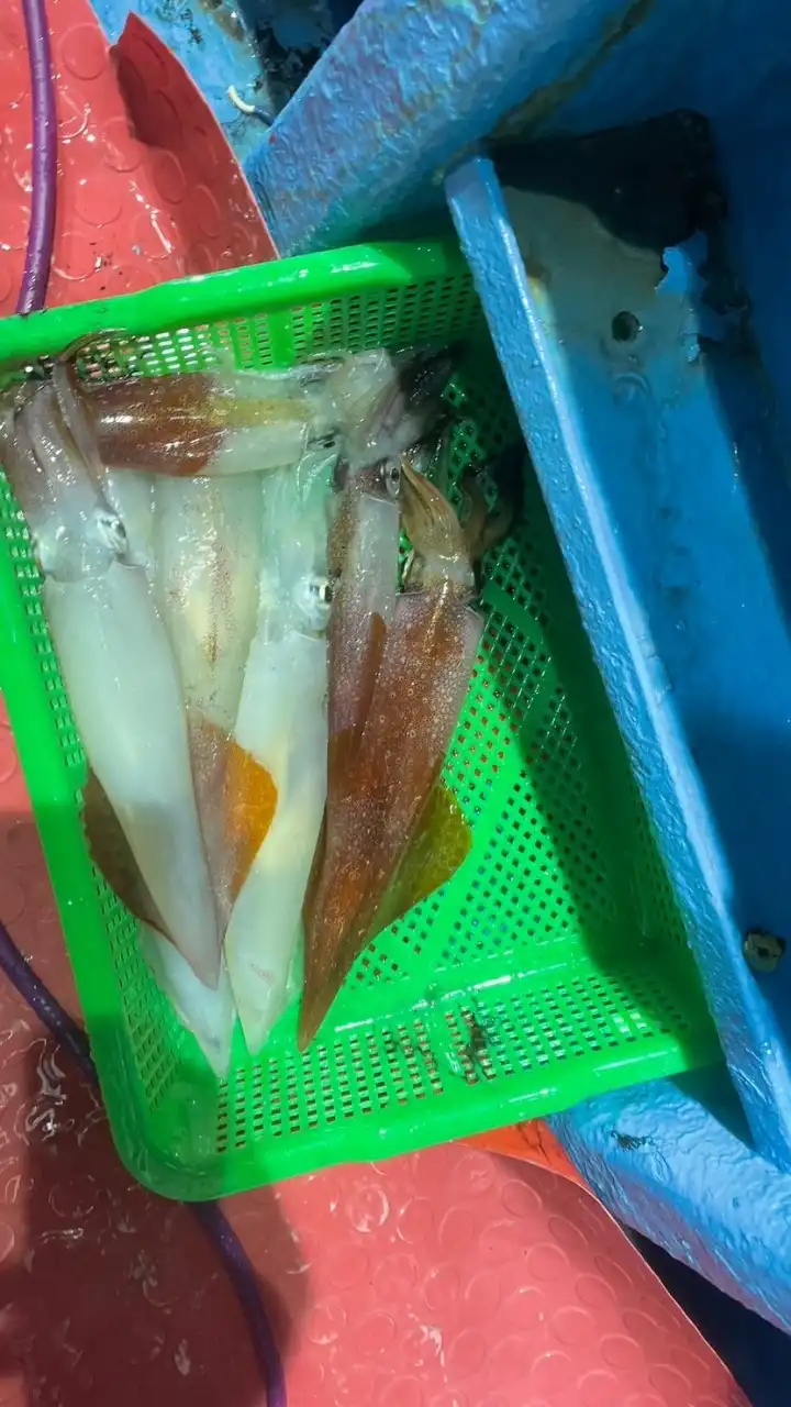 船用釣魚用品一2群