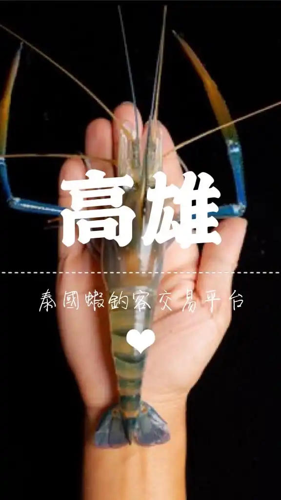 高雄 泰國蝦🦐釣客交易平台